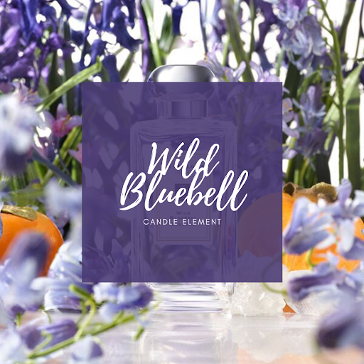 JM type - Wild Bluebell 藍風鈴– Candle Element