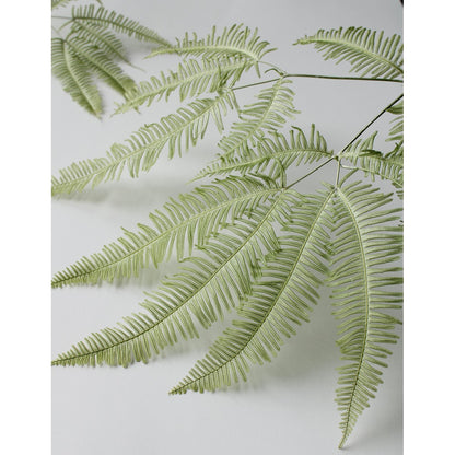 EARTH MATTERS Earth Farm - Mountain Ferns - Light Green