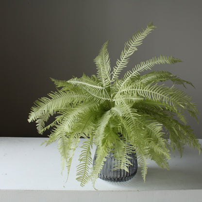 EARTH MATTERS Earth Farm - Mountain Ferns - Light Green