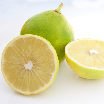 Essential Oil - Bergamot natural essential oil