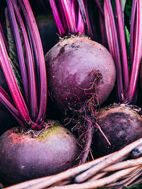 CW - Beetroot 甜菜根 (L Type)