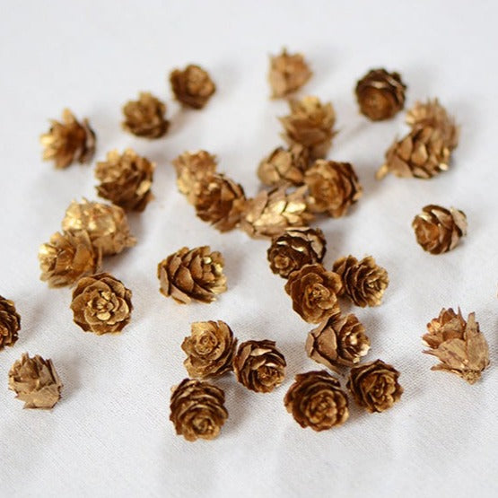 Dried Gold Silver Mini Pine Cone 金銀色迷你落葉松果乾花