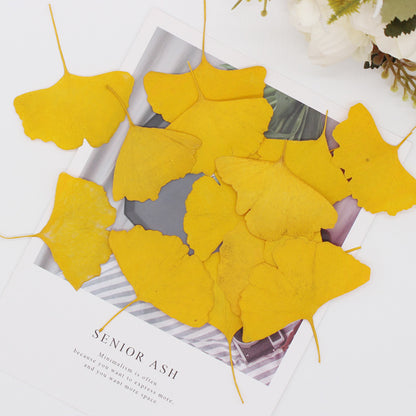 Pressed Ginkgo Leaf 銀杏葉壓花包 -  Y黄色 (4-9cm)