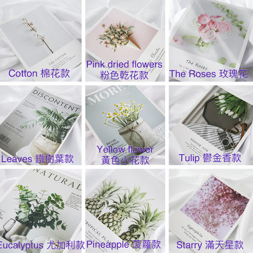 Plants Cards photoprops 植物卡片攝影道具